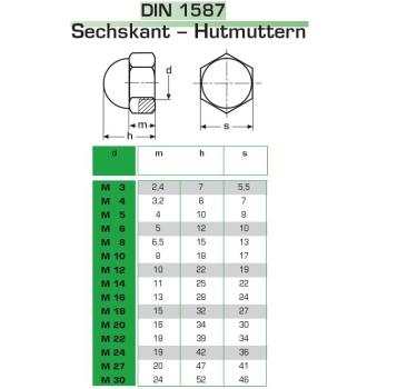 Hutmutter DIN 1587 A2 M10  100 Stk.
