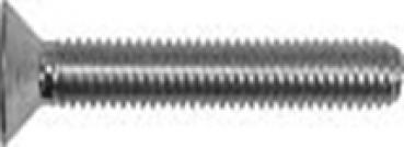 Senkschraube mit Innensechskant M 6 x 55  DIN 7991 A2  1 Stk.