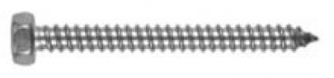 Sechskant-Blechschraube  4,8 x 19 DIN 7976 A2 500 Stk.