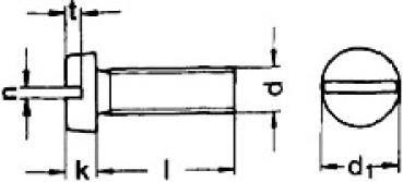 Zylinderschraube mit Schlitz  M 5 x 40  DIN 84 A2 1 Stk.