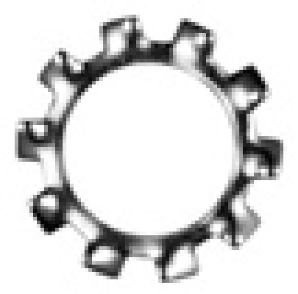 Zahnscheiben M 10 Form A DIN 6797 A2  100 Stk.