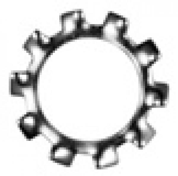 Zahnscheiben M 12 Form A DIN 6797 A2  500 Stk.
