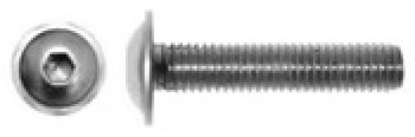 Linsenschrauben mit Flansch ISO 7380 8 x 50 A2 1 Stk.