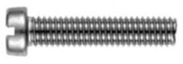 Zylinderschraube mit Schlitz  M 5 x 40  DIN 84 A2 1 Stk.