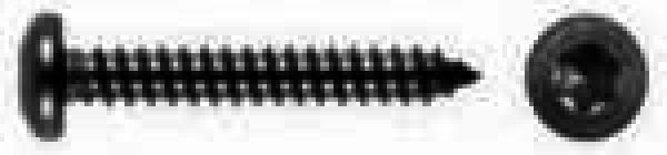 Blechschrauben DIN 7981 Torx 4,8 x 19 Schwarz Verzinkt 100 Stk.