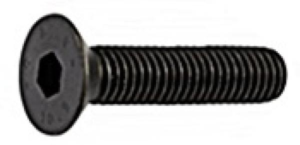 Senkschraube mit Innensechskant M 4 x 10 DIN 7991 Edelstahl Schwarz 100 Stk.