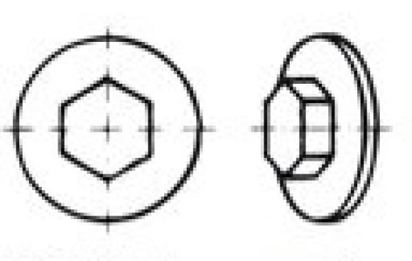 Abdeckkappen für Fassadenschrauben Hellgrau 100 Stk.