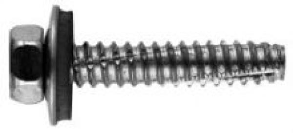 Fassadenbauschraube mit Zapfen und 16 mm Dichtscheibe Form B  6,3 x 16 - 100 Stk.