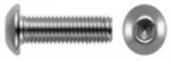 Linsenschrauben ISO 7380 mit Innensechskant 8 x 40 mm 1 Stk.