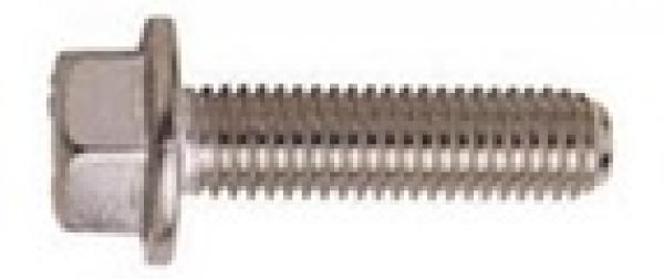 Sechskantschrauben mit Flansch 6 x 60 100 Stk.