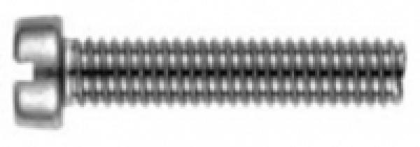 Zylinderschraube mit Schlitz  M 2 x 10  DIN 84 A2 1 Stk.