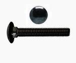 Schloßschrauben DIN 603  M 6 x 50   Edelstahl Schwarz  50 Stk.