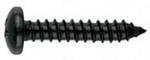 Blechschrauben DIN 7981 Edelstahl Schwarz Brüniert 4,2 x 13 A2 25 Stk.