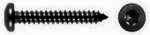 Blechschrauben DIN 7981 Torx 4,8 x 19 Schwarz Verzinkt 100 Stk.